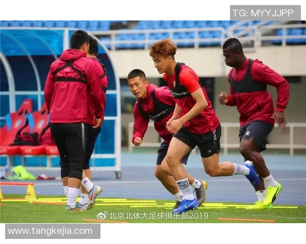 北京排球队团队协作引发热议球迷对战术配合和球员默契的不同看法